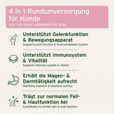4 in 1 Rundumversorgung für Hunde - Unterstützt Gelenkfunktionen, Immunsystem, Magen-Darm-Aktivität und Fellgesundheit.