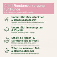 4 in 1 Rundumversorgung für Hunde - Unterstützt Gelenkfunktionen, Immunsystem, Magen-Darm-Aktivität und Fellgesundheit.