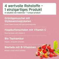 4 wertvolle Rohstoffe für 4 in 1 Rundumversorgung für Hunde - Grünschalmuschel, Hagebuttenschalen, Topinambur, Bierhefe.