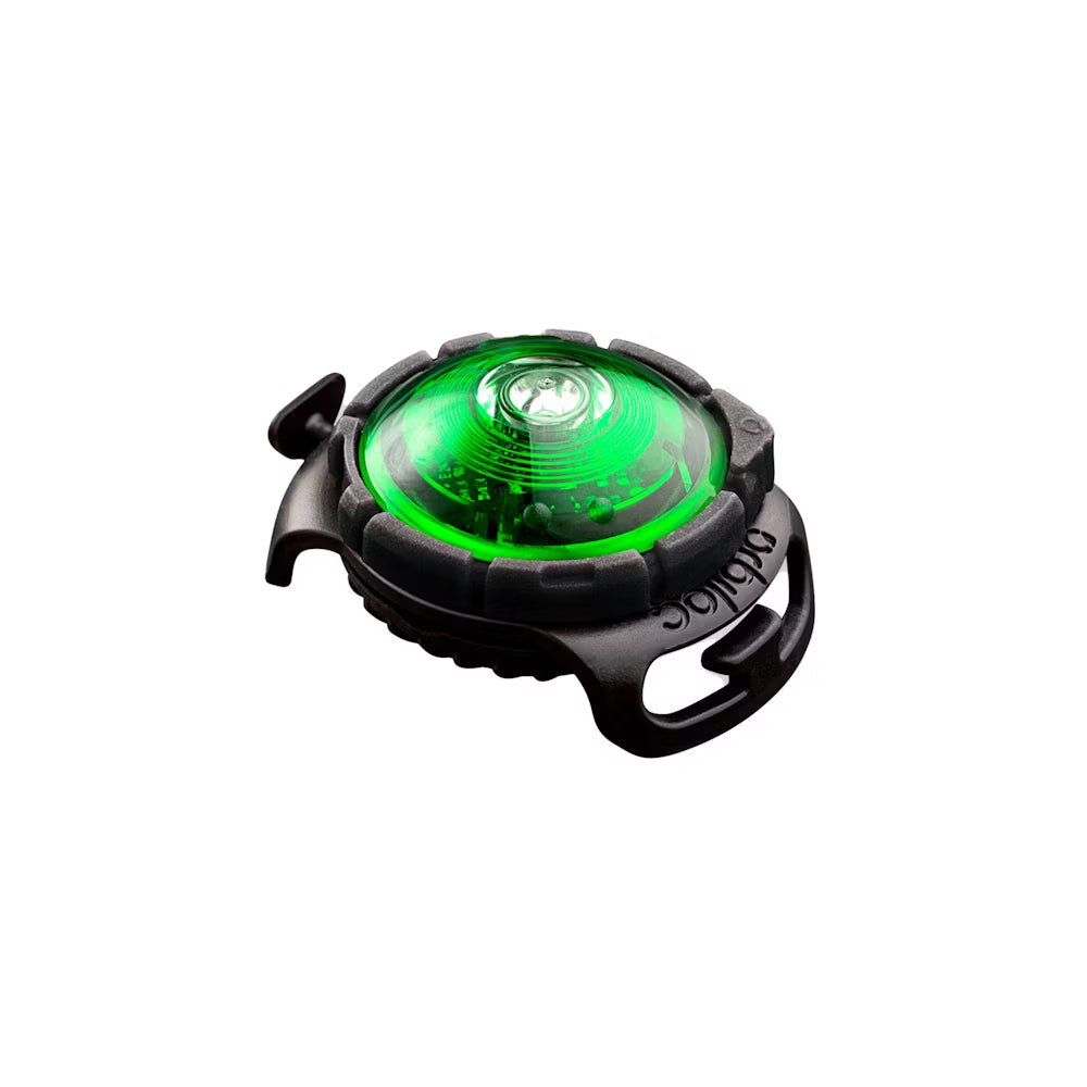 Orbiloc Safety Light Grün