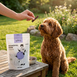 Poodlewohl Bio-Rind Streifen Snack-Beutel mit kleinem Rind-Streifen beim Hundetraining im Park oder Garten