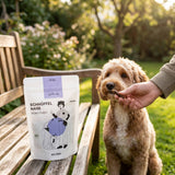 Poodlewohl Bio-Rind Würstchen Snack-Beutel mit kleinem Hundesnack beim Training im Park oder Garten