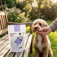 Poodlewohl Bio-Rind Würstchen Snack-Beutel mit kleinem Hundesnack beim Training im Park oder Garten