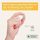 Das Bild zeigt eine Hand, die eine kleine Tablette für die Verdauung von Hunden hält. Die Tablette hat einen Durchmesser von 1,5 cm und wird als Diät-Ergänzungsfutter für Hunde zur Unterstützung der Verdauung vermarktet. Im Hintergrund sind 90 Tabletten abgebildet, und das Produkt wird mit der Aussage "Entwickelt mit Tierexperten" beworben.