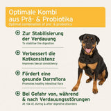 Das Bild zeigt einen Rottweiler mit einem fröhlichen Gesichtsausdruck. Der Text beschreibt die Vorteile eines Produkts, das eine Kombination aus Prä- und Probiotika enthält, um die Verdauung zu stabilisieren, die Kotkonsistenz zu verbessern, eine gesunde Darmflora zu fördern und bei Verdauungsstörungen zu helfen.