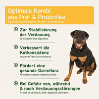 Das Bild zeigt einen Rottweiler mit einem fröhlichen Gesichtsausdruck. Der Text beschreibt die Vorteile eines Produkts, das eine Kombination aus Prä- und Probiotika enthält, um die Verdauung zu stabilisieren, die Kotkonsistenz zu verbessern, eine gesunde Darmflora zu fördern und bei Verdauungsstörungen zu helfen.