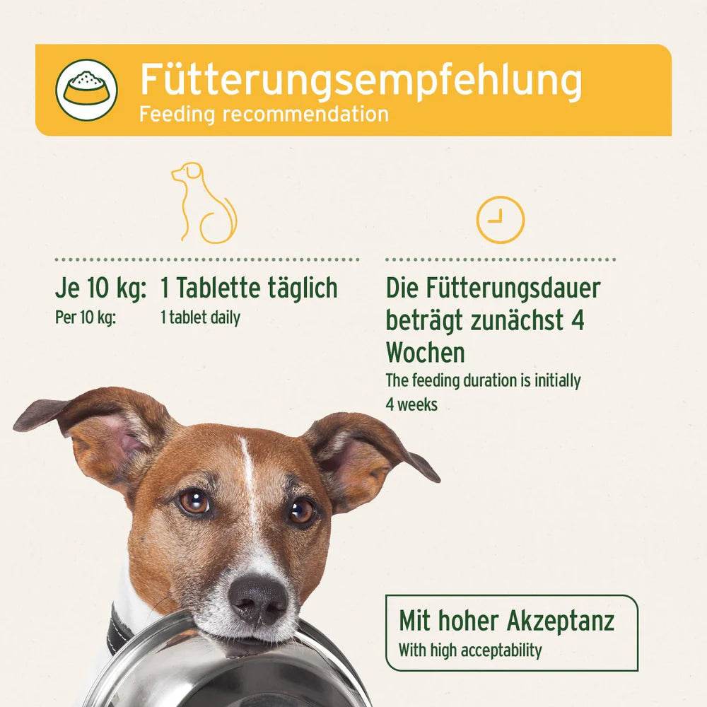 Das Bild zeigt eine Fütterungsempfehlung für Hundetabletten, die täglich verabreicht werden müssen. Für Hunde mit einem Gewicht von 10 kg wird empfohlen, 1 Tablette pro Tag zu geben, und die Fütterungsdauer beträgt zu Beginn 4 Wochen. Ein Hund, der auf einem Futternapf schaut, ist ebenfalls abgebildet, was eine hohe Akzeptanz des Produkts verdeutlicht.