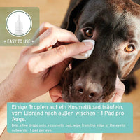 Anwendung von AniForte® Sanfte Augenpflege für Hunde, Tropfen auf Kosmetikpad, sanftes Wischen vom Lidrand nach außen, Pflege der empfindlichen Augenpartie.