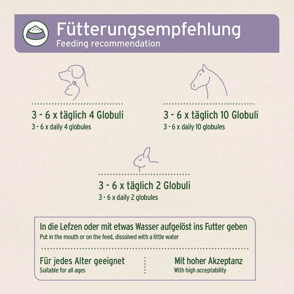 Fütterungsempfehlung für die Bachblüten Globuli. Hunde und Katzen erhalten 3-6 mal täglich 4 Globuli, kleinere Tiere 3-6 mal täglich 2 Globuli, und Pferde 3-6 mal täglich 10 Globuli. Die Globuli können in die Lefzen gegeben oder mit etwas Wasser aufgelöst ins Futter gemischt werden. Geeignet für alle Altersgruppen.