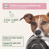 Das Bild zeigt eine Fütterungsempfehlung für Hunde. Die empfohlene Dosierung beträgt 1 g täglich pro 10 kg Körpergewicht des Hundes. Es wird empfohlen, das Pulver einfach ins Futter zu mischen, und es ist für Hunde jeden Alters geeignet. Ein Hundebild zeigt den Hund, der den Futternapf hält.