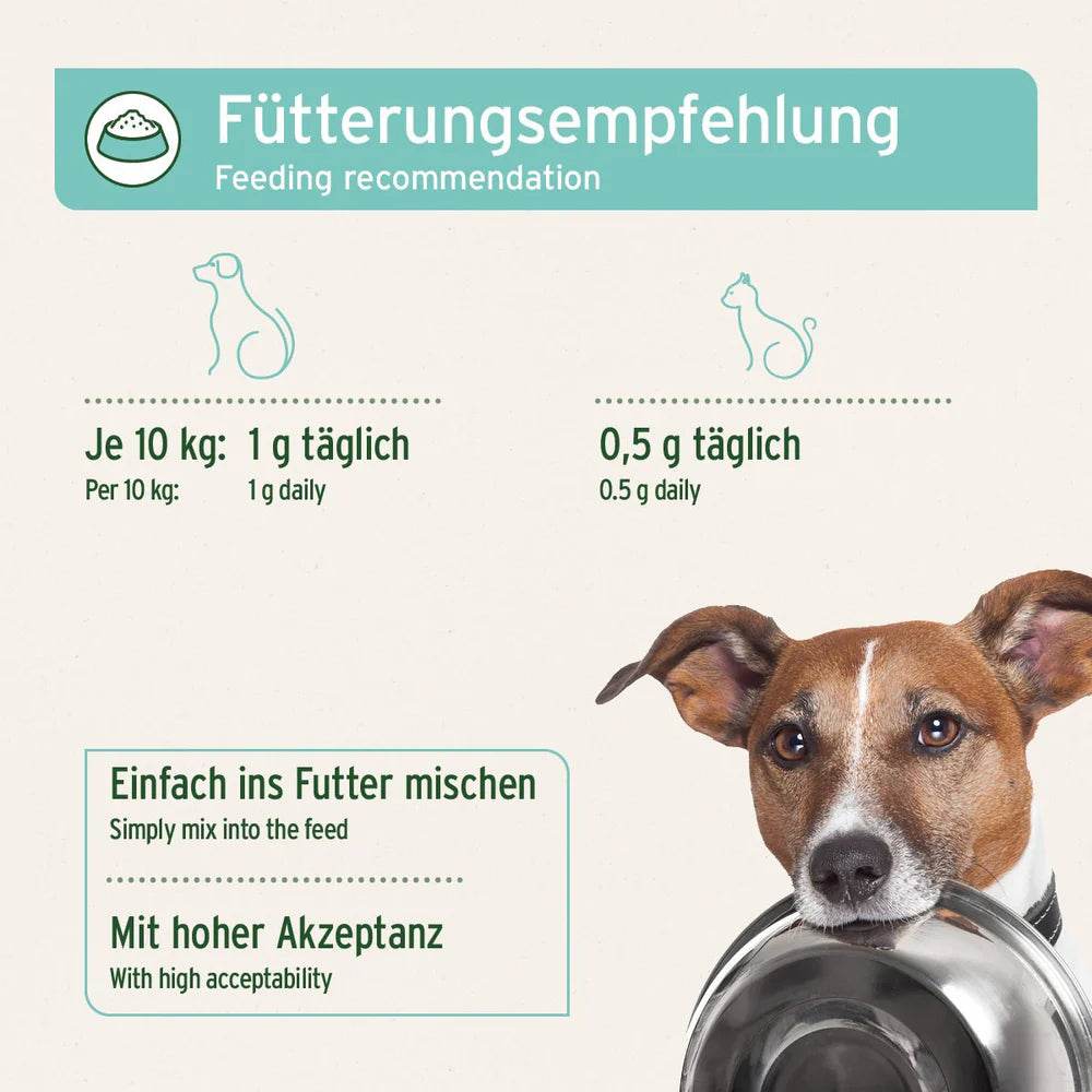 Fütterungsempfehlung für Hunde und Katzen: Hunde (bis 10 kg) 1 g täglich, Katzen 0,5 g täglich. Einfach ins Futter mischen für hohe Akzeptanz.