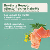 Ein Bild von einer gut ausgewogenen Mischung natürlicher Öle, bestehend aus Lachsöl, Bio-Hanflöl und Nachtkerzenöl, die essentielle Omega-3- und Omega-6-Fettsäuren liefert. Es zeigt eine Kombination aus Lachsfilet, Hanfpflanze und Nachtkerzenblüten.