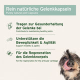 Das Bild zeigt eine Beschreibung von rein natürlichen Gelenkkapseln für Hunde. Die Kapseln tragen zur Gesunderhaltung der Gelenke bei, unterstützen die Beweglichkeit und Agilität und fördern die Regeneration des Gelenkknorpels. Ein Hund, der die Kapseln genießt, wird dargestellt.