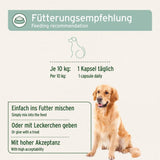  Die Fütterungsempfehlung zeigt, dass für einen Hund mit einem Gewicht von 10 kg täglich eine Kapsel gegeben werden sollte. Die Kapsel kann einfach ins Futter gemischt oder mit Leckerchen verabreicht werden, wobei sie eine hohe Akzeptanz bei Hunden hat. Ein Hundebild zeigt den Vorschlag zur Gabe.