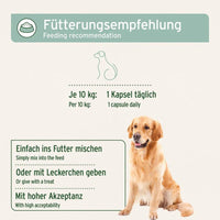 Die Fütterungsempfehlung zeigt, dass für einen Hund mit einem Gewicht von 10 kg täglich eine Kapsel gegeben werden sollte. Die Kapsel kann einfach ins Futter gemischt oder mit Leckerchen verabreicht werden, wobei sie eine hohe Akzeptanz bei Hunden hat. Ein Hundebild zeigt den Vorschlag zur Gabe.