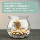 Das Bild zeigt Neuseeländisches Grünlippmuschelpulver in einer praktischen Kapsel-Form. Das Pulver wird durch ein Glasgefäß in die Kapseln gefüllt, die unten sichtbar sind. Diese Kapseln bieten eine einfache Möglichkeit, Grünlippmuschelpulver für Hunde zur Unterstützung der Gelenkfunktion zu verabreichen.