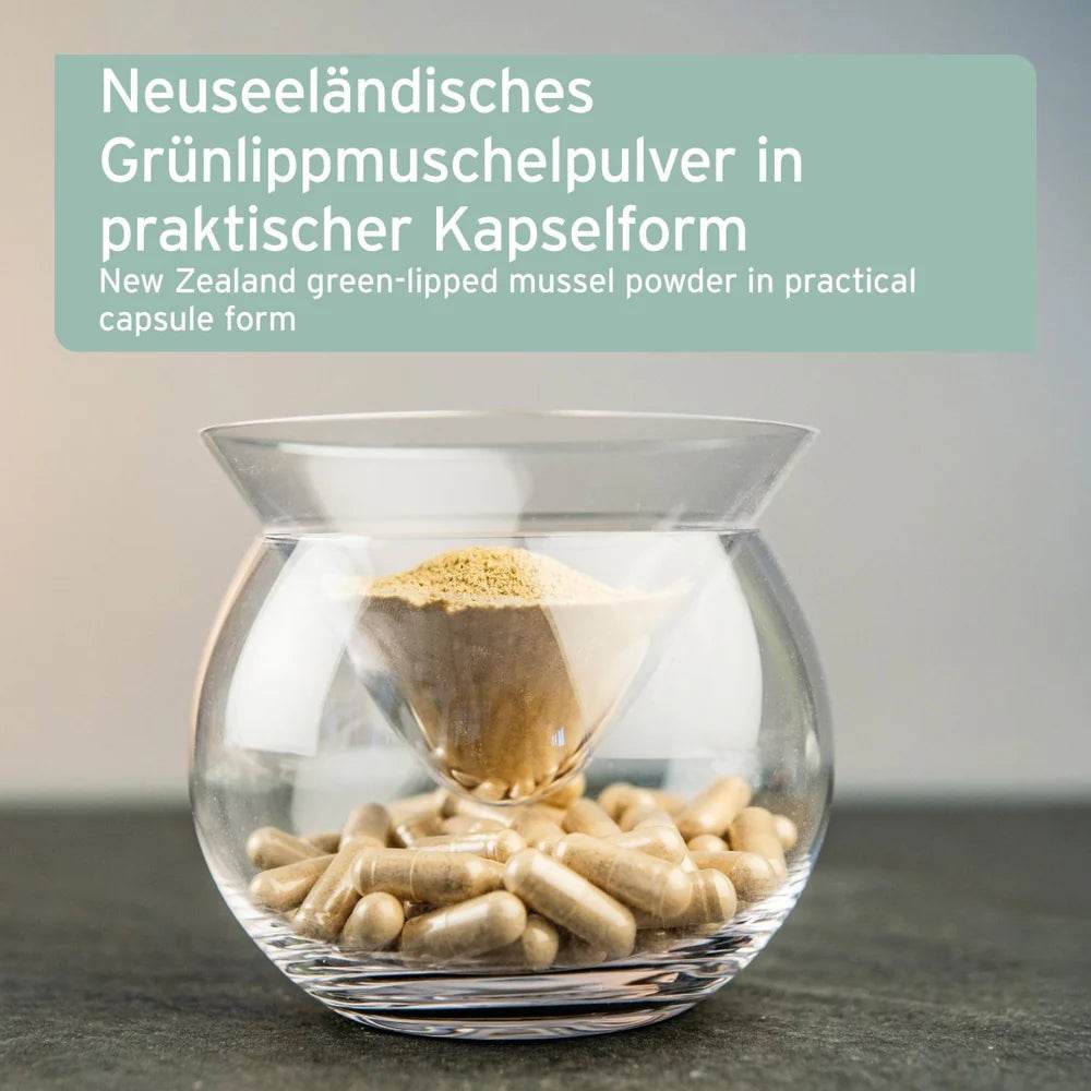 Das Bild zeigt Neuseeländisches Grünlippmuschelpulver in einer praktischen Kapsel-Form. Das Pulver wird durch ein Glasgefäß in die Kapseln gefüllt, die unten sichtbar sind. Diese Kapseln bieten eine einfache Möglichkeit, Grünlippmuschelpulver für Hunde zur Unterstützung der Gelenkfunktion zu verabreichen.