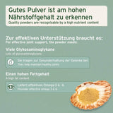 Das Bild zeigt eine Beschreibung von hochwertigem Pulver, das zur effektiven Unterstützung der Gelenke dient. Es enthält viele Glycosaminoglykane, die zur Gesunderhaltung der Gelenke beitragen, sowie einen hohen Fettgehalt, der effektives Omega-3 und -6 liefert. Ein Muschelfoto wird als Symbol für die Inhaltsstoffe verwendet.