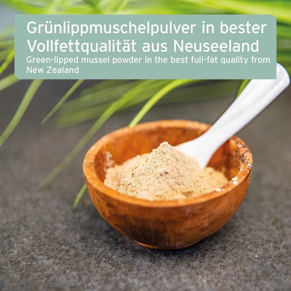 Grünlippmuschelpulver in bester Vollfettqualität aus Neuseeland für eine gesunde Gelenkfunktion und Beweglichkeit.