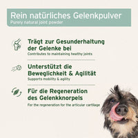 Rein natürliches Gelenkpulver unterstützt die Gesunderhaltung der Gelenke, die Beweglichkeit und Agilität sowie die Regeneration des Gelenkknorpels.