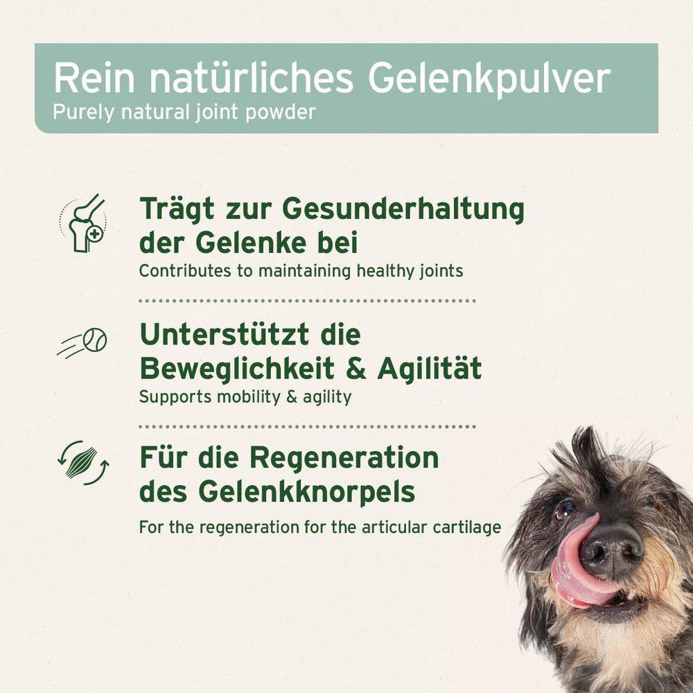 Rein natürliches Gelenkpulver unterstützt die Gesunderhaltung der Gelenke, die Beweglichkeit und Agilität sowie die Regeneration des Gelenkknorpels.