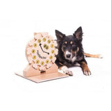 Border Collie spielt mit dem interaktiven Pet's Clock Puzzle, einem geistigen Spielzeug für Hunde und Katzen zur Förderung der Problemlösungsfähigkeiten und Konzentration.