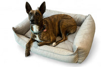 Hund schläft bequem auf einem nachhaltigen Hundebett mit abnehmbarem und waschbarem Bezug, das aus recyceltem Textil gefertigt wurde.