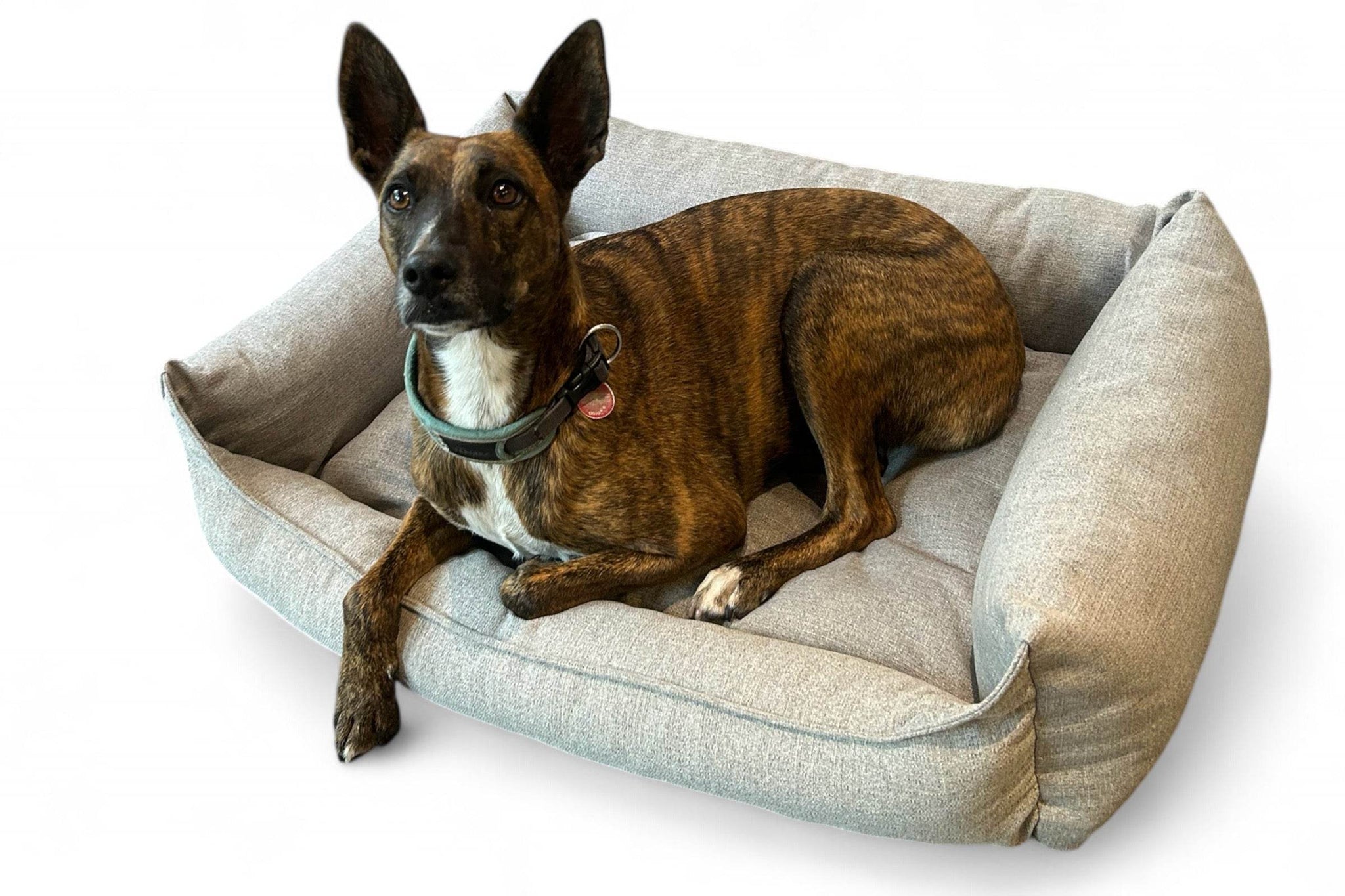 Hund schläft bequem auf einem nachhaltigen Hundebett mit abnehmbarem und waschbarem Bezug, das aus recyceltem Textil gefertigt wurde.