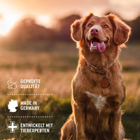 Hund, der in einem natürlichen Umfeld sitzt, mit Symbolen für geprüfte Qualität, Made in Germany und Entwickelt mit Tierexperten.
