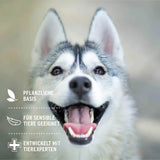 Husky mit offenem Maul, zeigt gesunde Zähne und lächelt, Hintergrund unscharf, pflanzliche Basis für empfindliche Tiere, entwickelt mit Tierexperten.