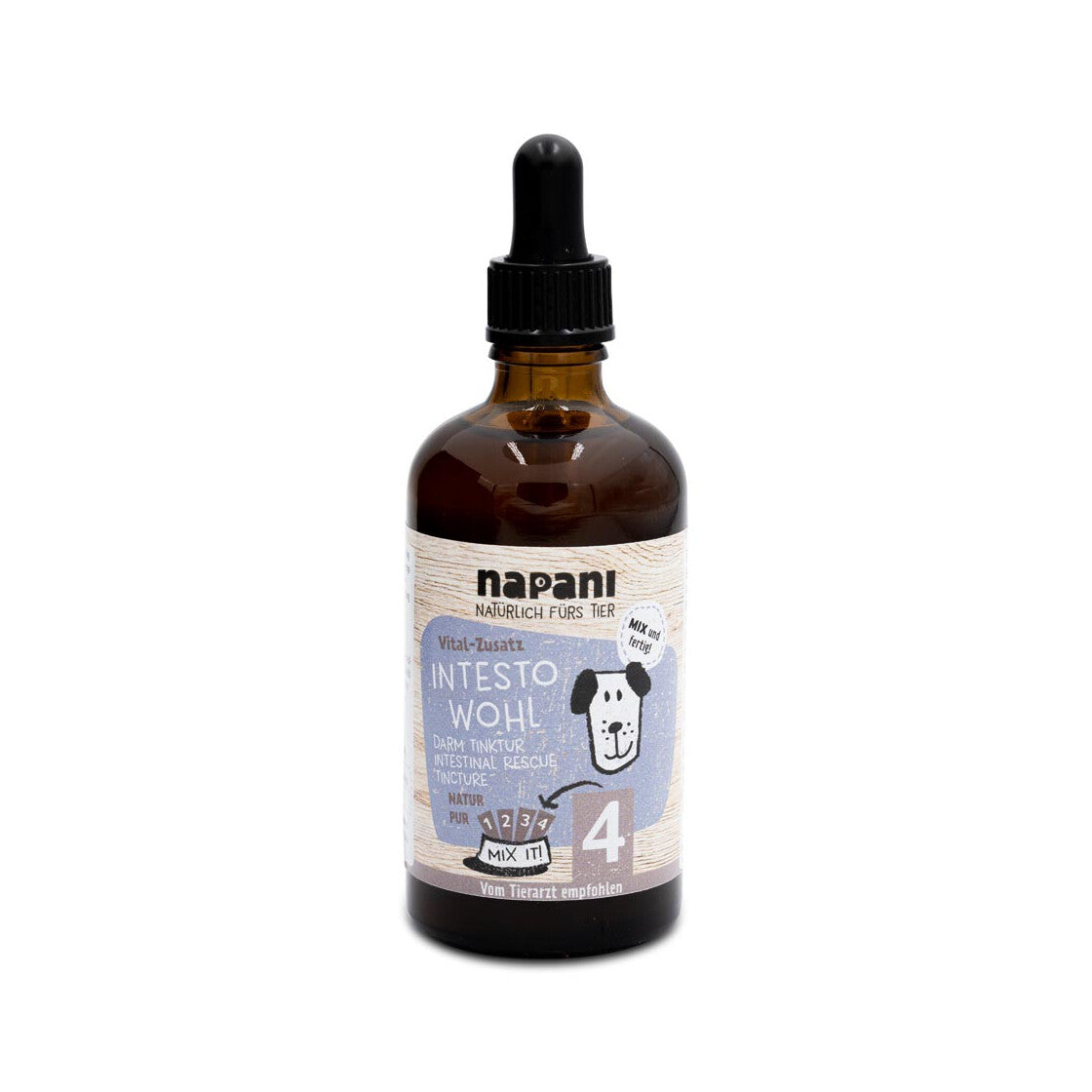 Braune Glasflasche mit Intesto Wohl – einer alkoholfreien Darm-Tinktur für Hunde – inklusive Pipette, umgeben von natürlichen Kräutern wie Eichenrinde, Brombeerblättern, Fenchel und Blutwurz.