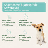Anwendungshinweise für AniForte Ohrmilbenöl, Dosierung für kleine Hunde, große Hunde, Katzen und Nagetiere.