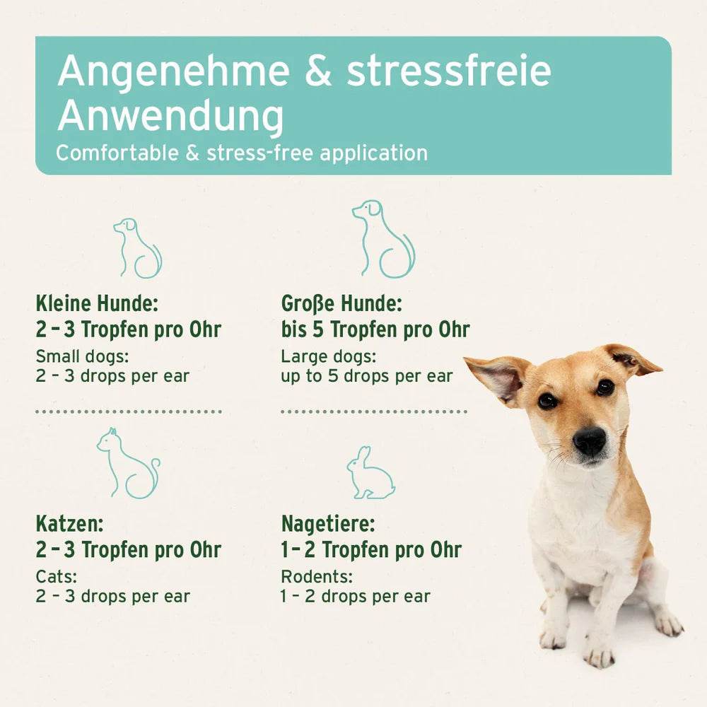 Anwendungshinweise für AniForte Ohrmilbenöl, Dosierung für kleine Hunde, große Hunde, Katzen und Nagetiere.