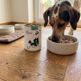 Welpe frisst Poodlewohl Bio Nassfutter Gans Junior aus einem Futternapf.
