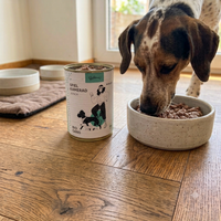 Welpe frisst Poodlewohl Bio Nassfutter Gans Junior aus einem Futternapf.
