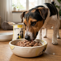 Älterer Hund frisst Poodlewohl Bio Nassfutter Pute Senior aus einem Futternapf.