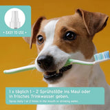 Jack Russell Hund mit Zahnbürste, zeigt die Anwendung von AniForte® Denta Clean & Care Zahnpflegespray: 1-2 Sprühstöße täglich ins Maul oder Trinkwasser.